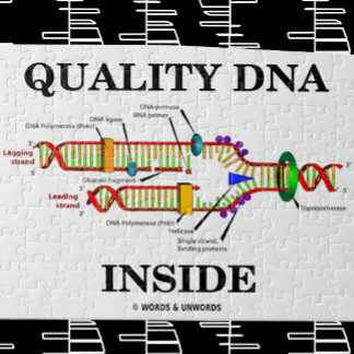 Quality DNA Inside (DNA Replication) Jigsaw Puzzle