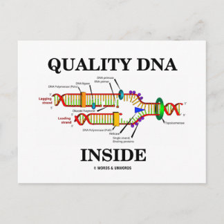 Quality DNA Inside (DNA Replication) Postcard