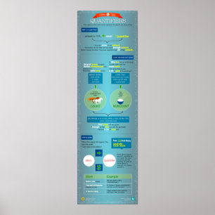Quantifiers: hints and tips poster
