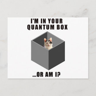 Quantum Cat Postcard