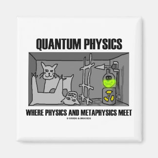 Quantum Physics Where Physics And Metaphysics Meet Magnet