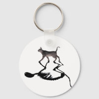 Quantum Schrodinger Cat Superposition Key-Chain