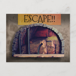 QUARANTINE ESCAPE PRISONER by Slipperywindow Postcard