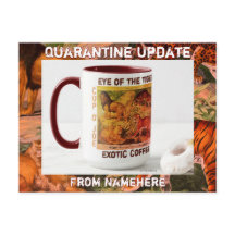 Quarantine Postcard Update Friends and Family