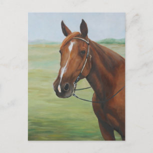 Quarter Horse Animal Art Postcard