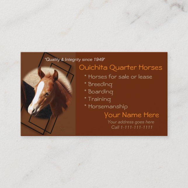 Quarter Horse & Colt Business Cards-1-customise Card (Front)