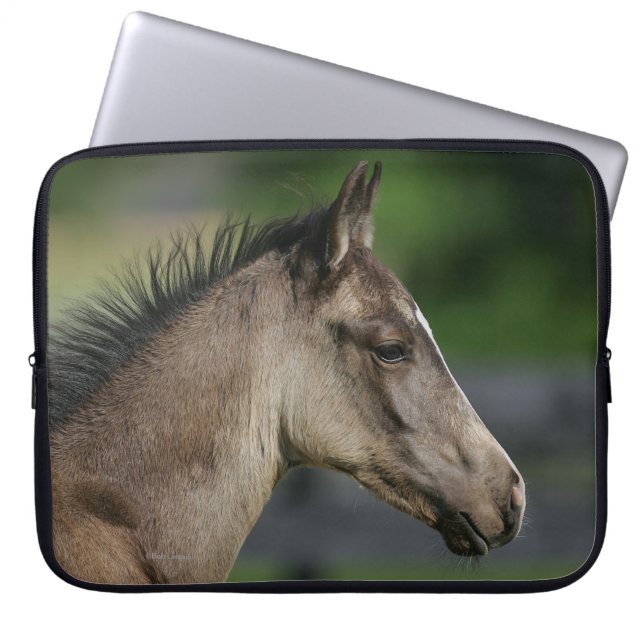 Quarter Horse Foal Headshot Laptop Sleeve (Front)