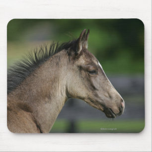 Quarter Horse Foal Headshot Mouse Mat