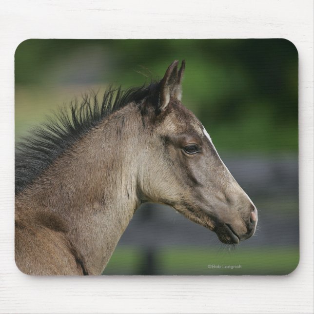 Quarter Horse Foal Headshot Mouse Mat (Front)