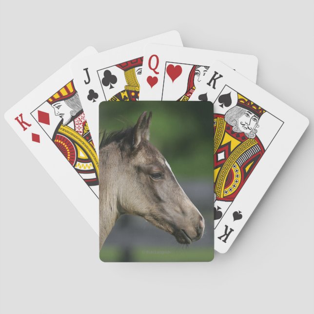 Quarter Horse Foal Headshot Playing Cards (Back)