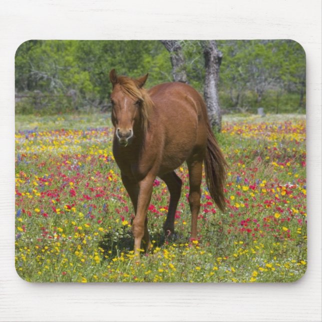 Quarter Horse in Field of Wildflowers Mouse Mat (Front)