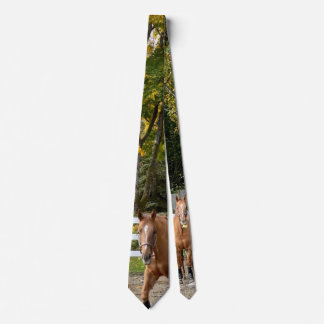 Quarter Horse Men's Tie