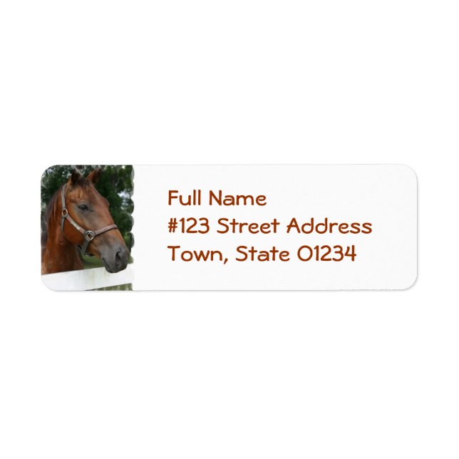 Quarter Horse Photo Return Address Label (Front)