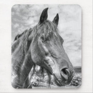 Quarter Horse Portrait Mouse Mat