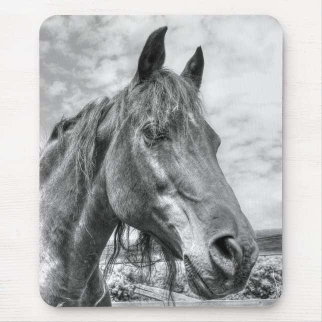 Quarter Horse Portrait Mouse Mat (Front)