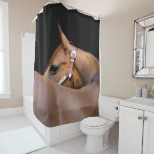 Quarter horse with black background shower curtain