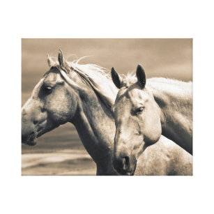 Quarter Horses On Canadian Prairie Canvas Print