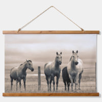 Quarter Horses On Canadian Prairie