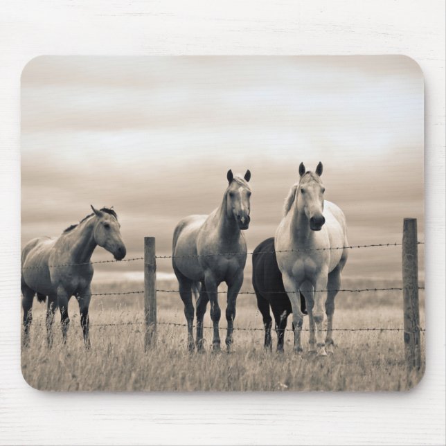 Quarter Horses On Canadian Prairie Mouse Mat (Front)