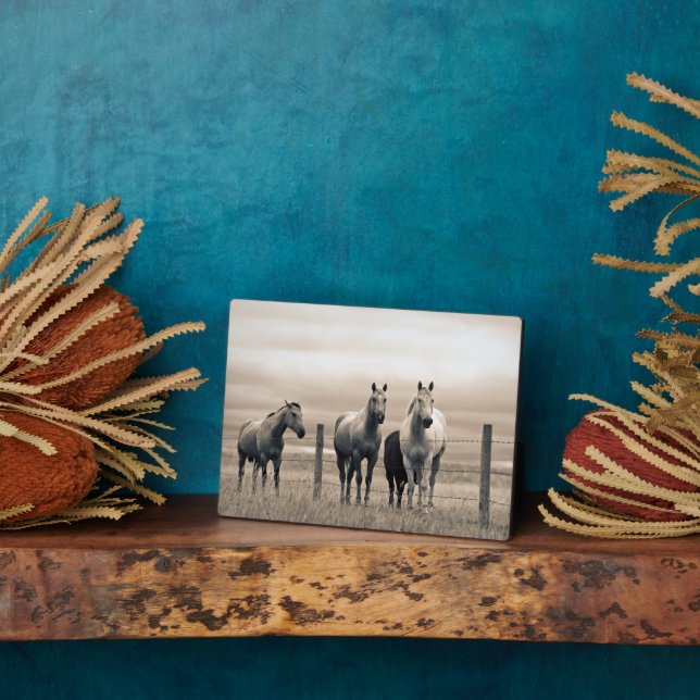 Quarter Horses On Canadian Prairie Plaque (Side)