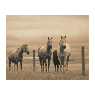 Quarter Horses On Canadian Prairie Wood Wall Art