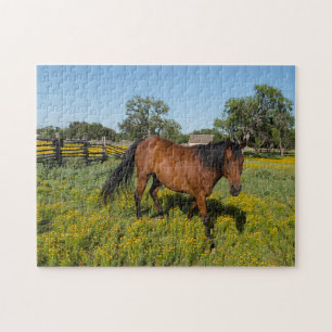 Quarter Horses Texas. Jigsaw Puzzle