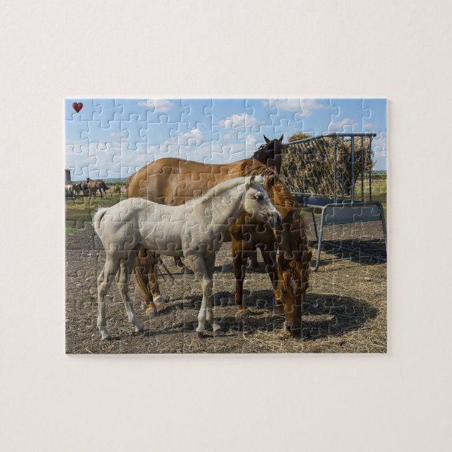 Quarter Horses Texas Jigsaw Puzzle (Horizontal)