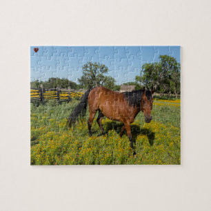Quarter Horses Texas Jigsaw Puzzle