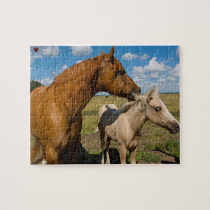 Quarter Horses Texas Jigsaw Puzzle