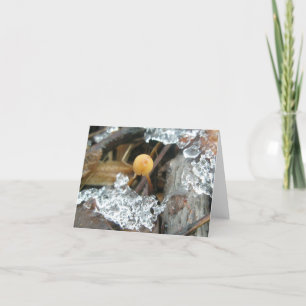 Quarter Inch Mushroom Under Ice Note Card