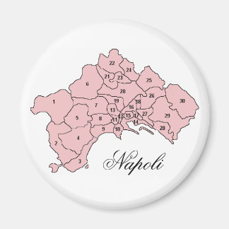 Quarters of Naples, Napoli Magnet