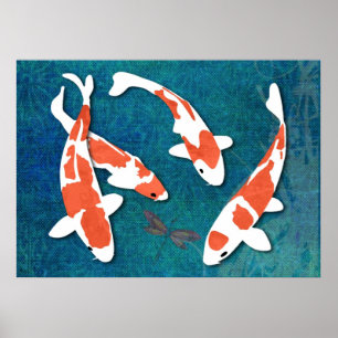 Quartet of Orange & White Kohaku Koi Poster