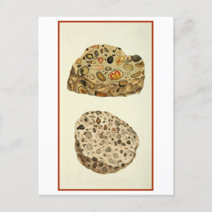 Quartzose Pudding Stone Mineralogy Illustration Postcard