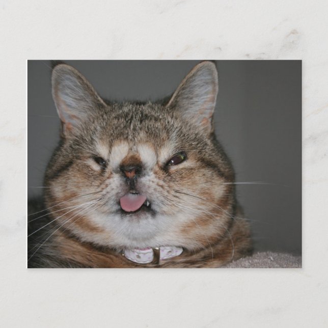 Quasi Postcard (Front)