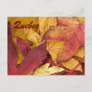 Quebec Autumn Leaves Postcard