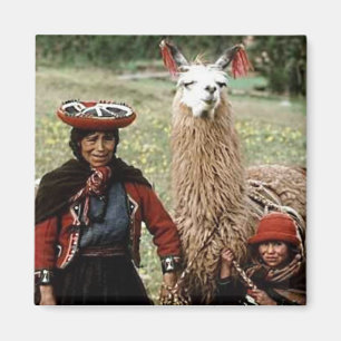Quechua Woman with Two Llamas Photo Magnet