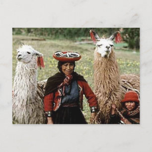 Quechua Woman with Two Llamas Photo Postcard