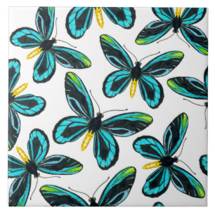 Queen Alexandra' s birdwing butterfly pattern Tile