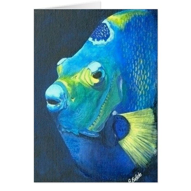 Queen Angel fish (Front)