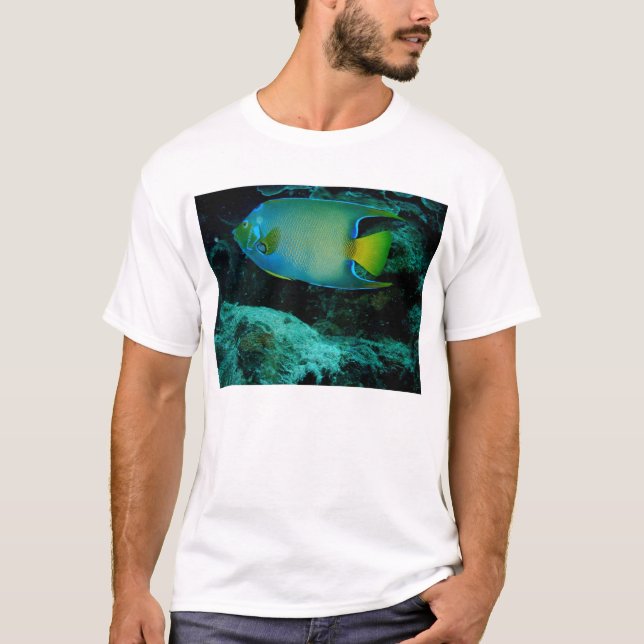 Queen Angel Fish T-Shirt (Front)