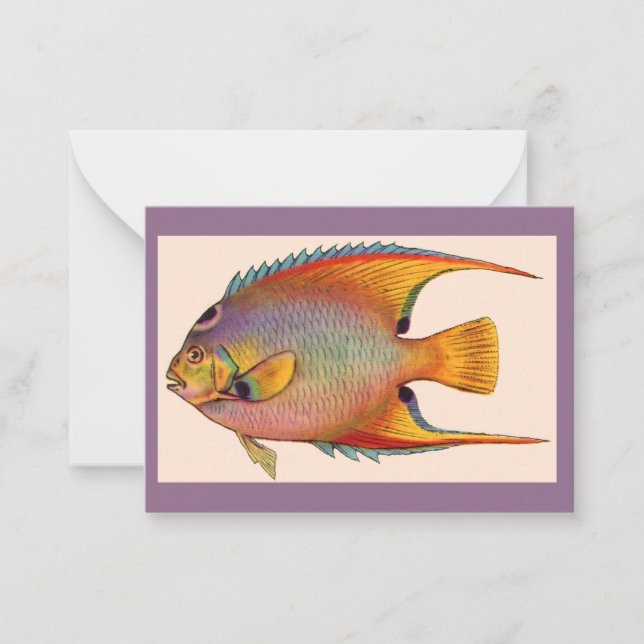 queen angelfish card (Front)