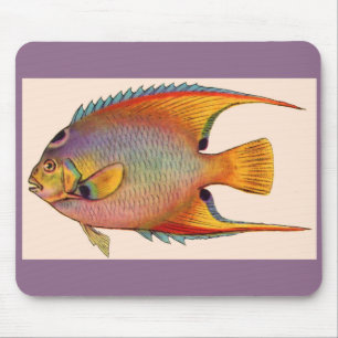 queen angelfish mouse mat
