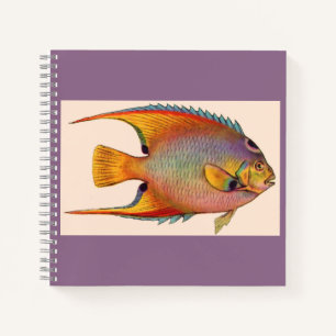 queen angelfish notebook