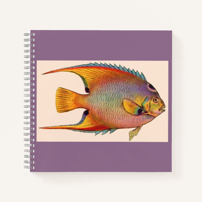 queen angelfish notebook (Front)