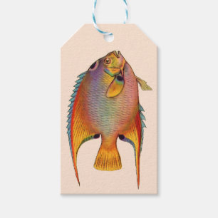 queen angelfish print gift tags