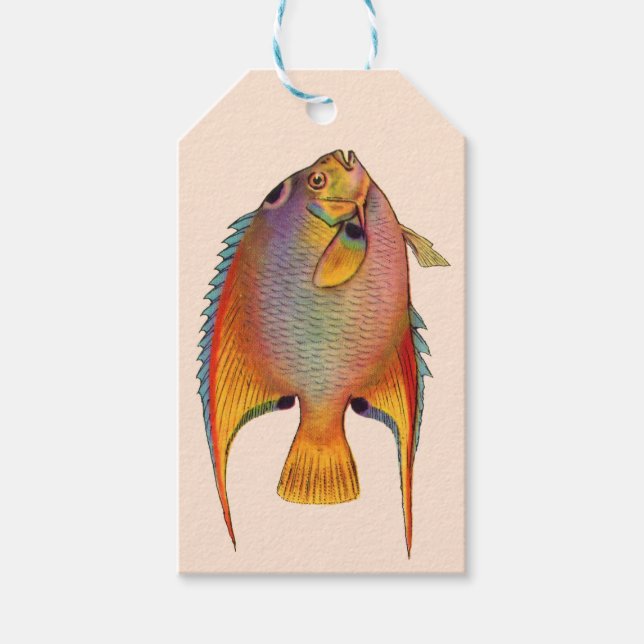 queen angelfish print gift tags (Front)