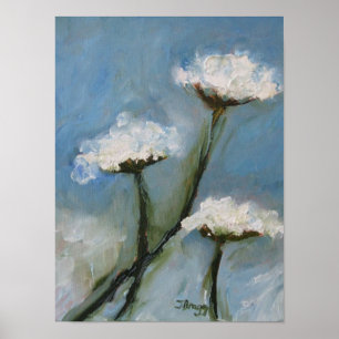 Queen Anne Lace Poster