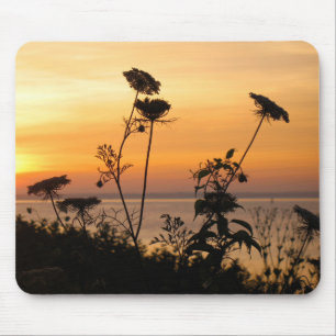 Queen Anne’s Lace at Sunset - Fishers Island, NY Mouse Mat