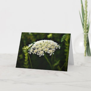 Queen Anne’s Lace, card