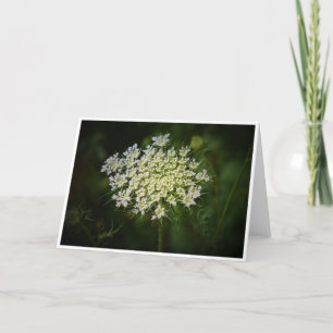 Queen Anne’s Lace, card